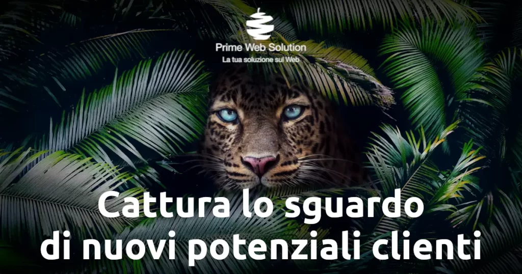 Campagna Mail Marketing | Promozione prodotti e servizi | Promuovi i tuoi prodotti e i tuoi servizi con campagne mail marketing mirate