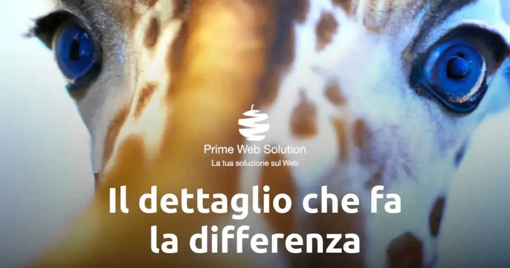 Siti web personalizzati | Realizzazione siti web su misura | Sviluppiamo siti web completamente personalizzati per ogni azienda