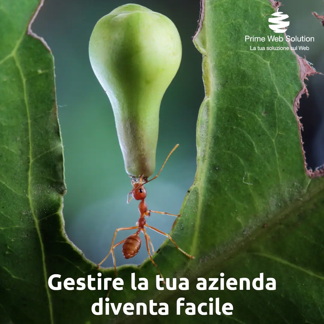 Software gestionali personalizzati | Software gestionali per aziende | Sviluppiamo software gestionali personalizzati per ogni funzionalità