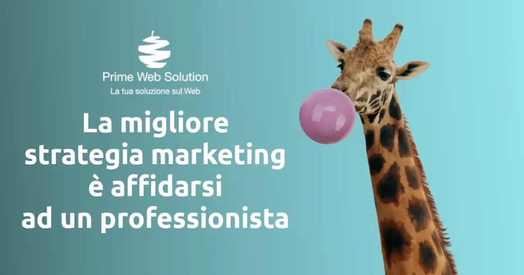 Strategia marketing personalizzata | Professionisti del marketing digitale | Siti web, posizionamento SEO, campagne Google e campagne Social
