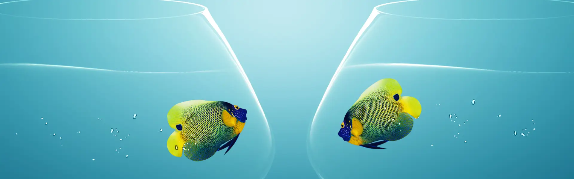 Non limitare il tuo sito web
