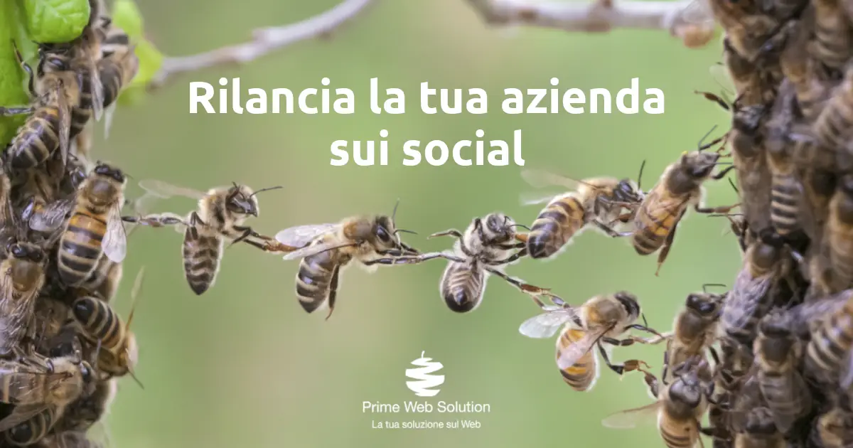 Campagne pubblicitarie Social Media | Rilancia la tua azienda con campagne pubblicitarie mirate sui Social Media