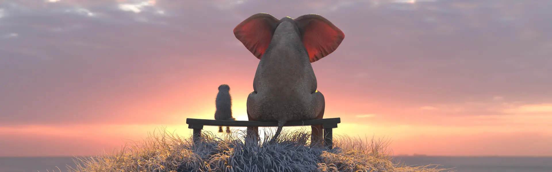 Uno sguardo al futuro