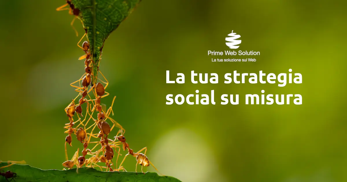 Strategia pubblicitaria Social Media | Campagne Social | Scopri le campagne sui social media per far crescere la tua azienda