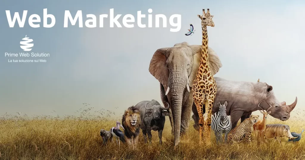 Web Marketing Brescia | Esperienza e versatilità al vostro servizio | Realizziamo siti web personalizzati, posizionamento seo e campagne Ads