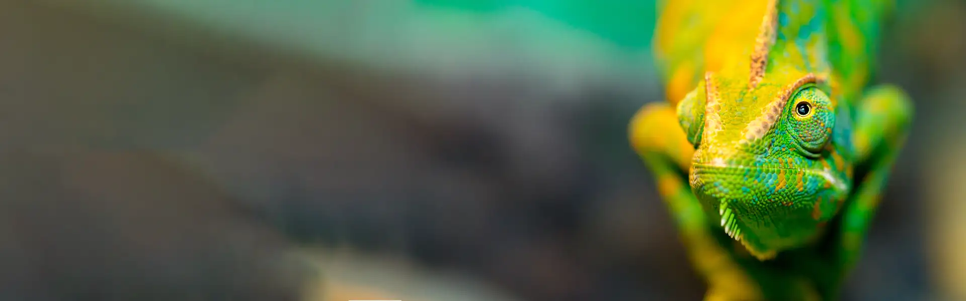 Adatta il tuo business ai nuovi trend di mercato