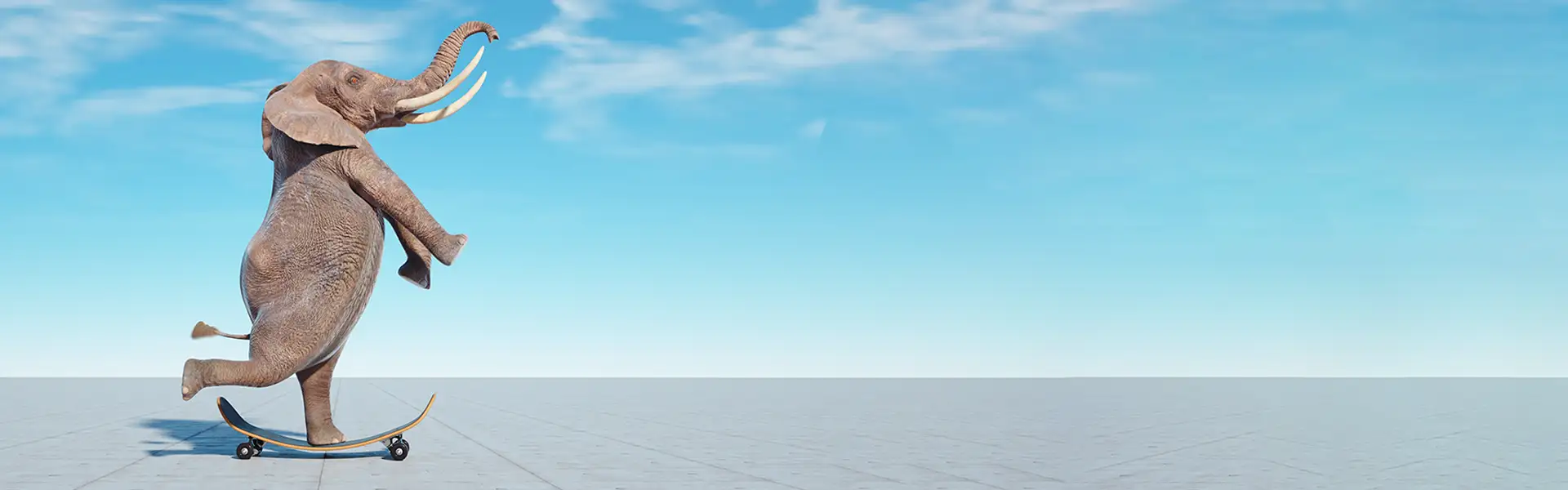 Adattati ai nuovi strumenti del web