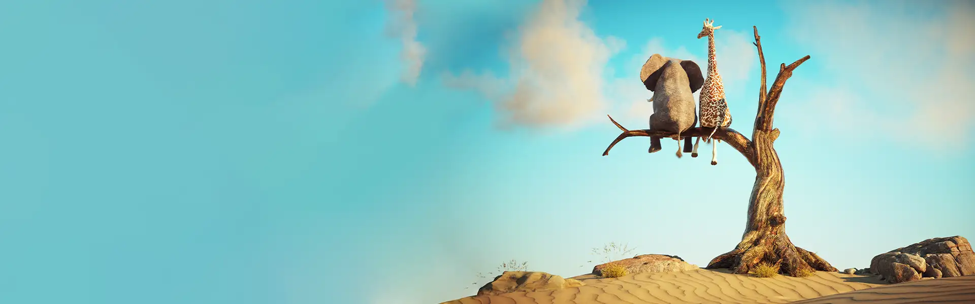 Mantieni lo sguardo verso il futuro