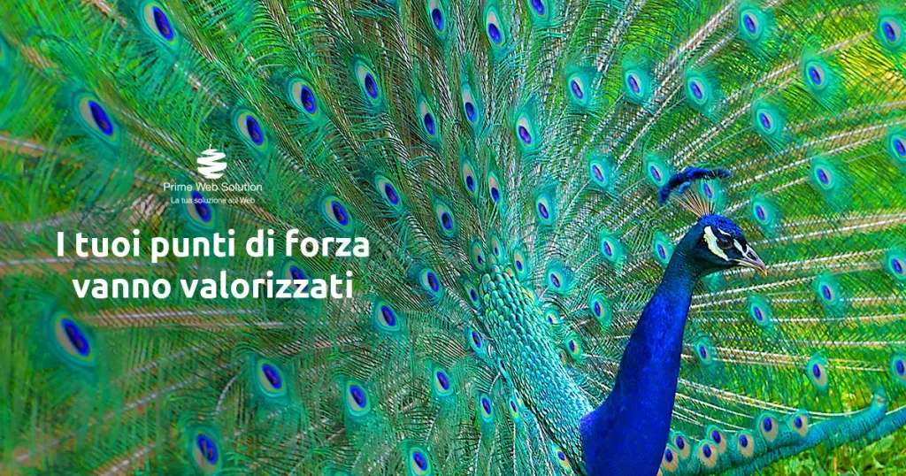 Valorizza i punti di forza sul web con una strategia su misura studia appositamente per le tue esigenze. Richiedi la tua campagna Google