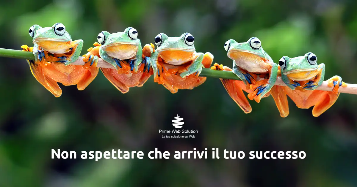 Campagne Google per maggiore visibilità sul web | Raggiungi nuovi potenziali clienti con campagne sponsorizzate su internet