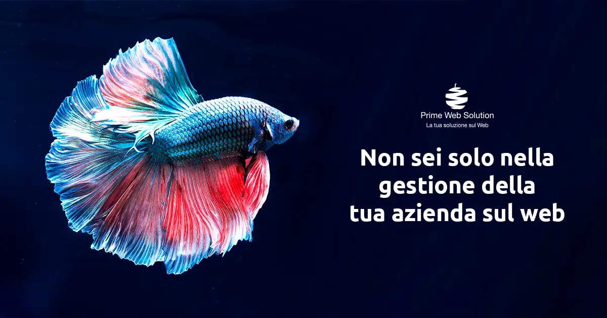 La gestione della propria azienda online non è semplice, per questo motivo devi affidarti ad un team di professionisti come Prime Web Solution