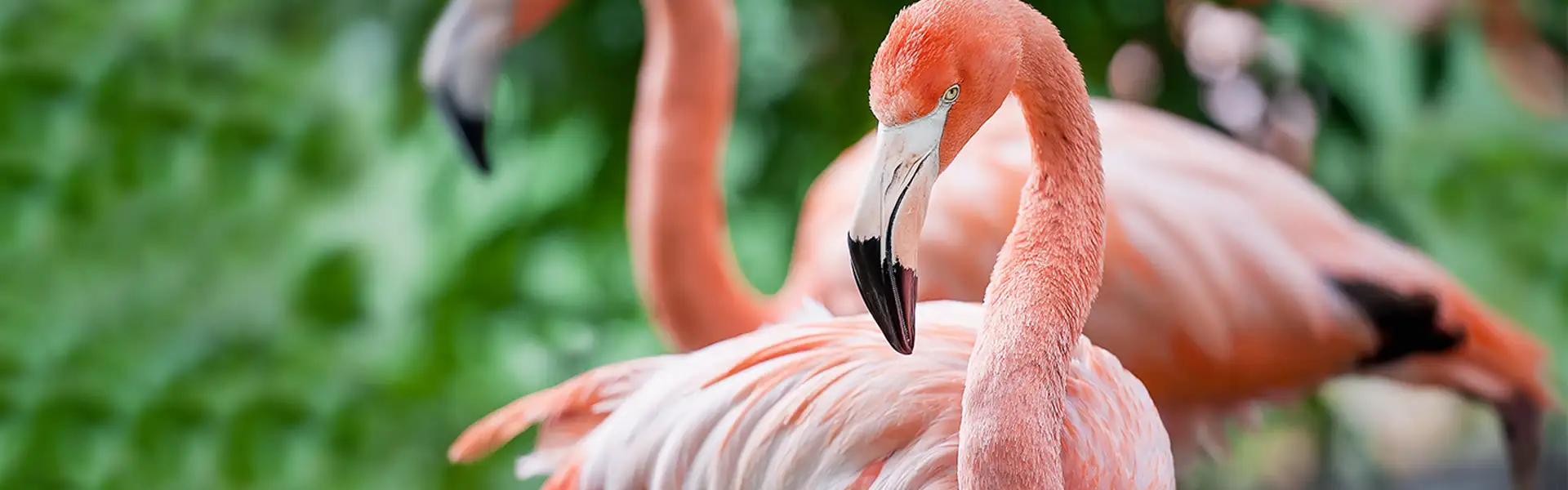 Dai una svecchiata alla tua immagine sul web