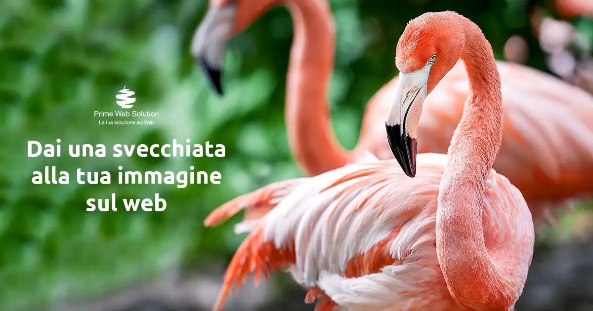 Rinnova la tua immagine online con uno studio grafico | Con una grafica personalizzata potrai rinnovare la tua visibilità sul web