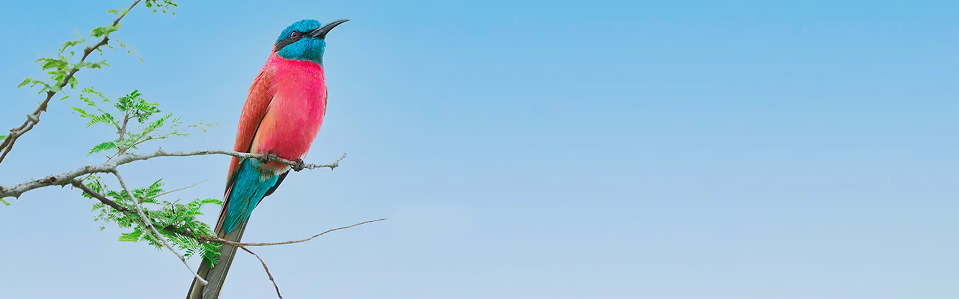 Un occhio al futuro della tua azienda sul web