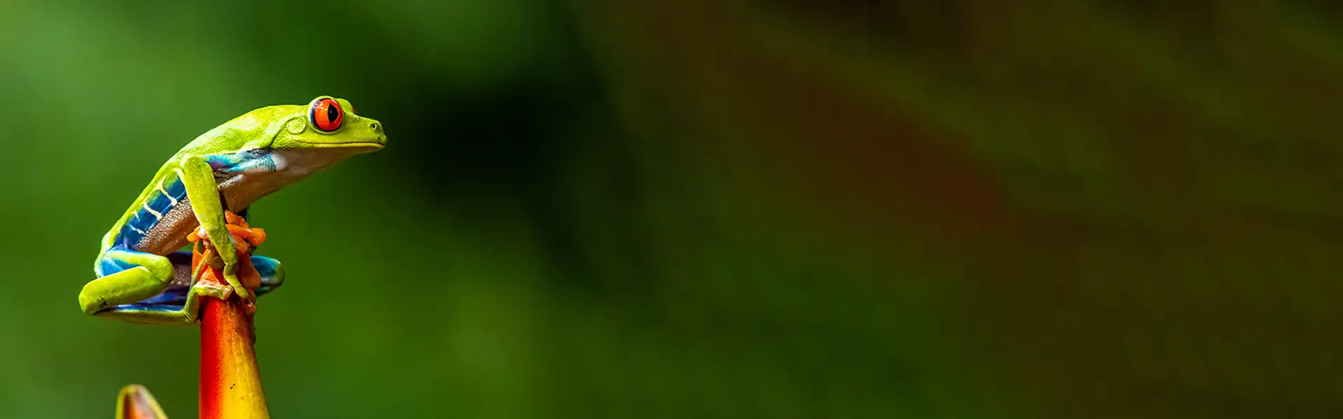 Valorizza ciò che ti rende unico