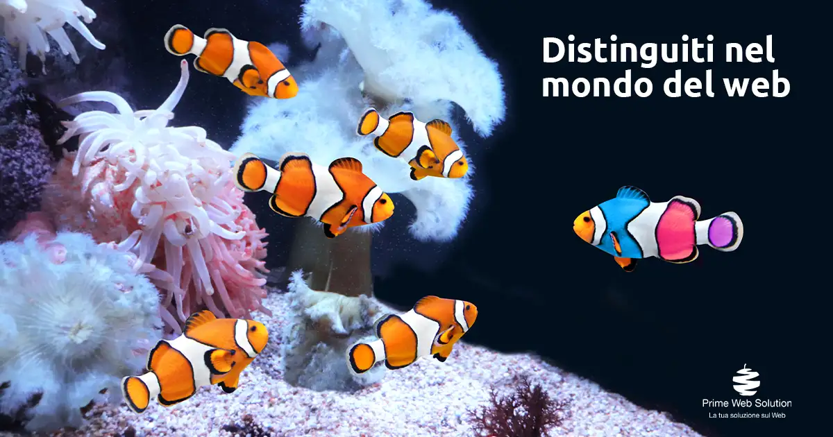 Siti web personalizzati | Distinguiti nel mondo del web con un sito web completamente personalizzato per la tua azienda