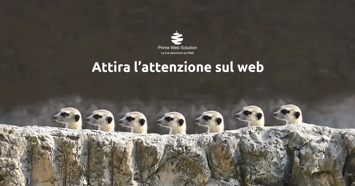 Brand Identity | Attira l'attenzione sul web con uno studio di Brand Identity che renderà la tua immagine online unica e riconoscibile