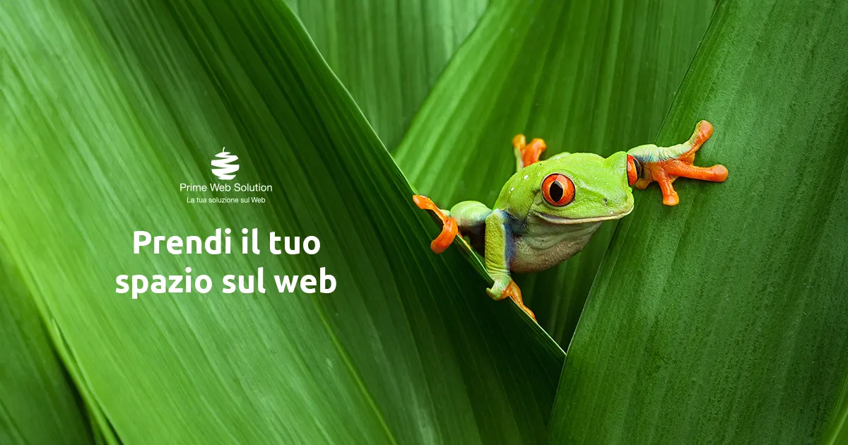Brand Identity | Prendi il tuo spazio sul web | Prime Web Solution | Prendi il tuo spazio sul web con una Brnad Identity unica e riconoscibile