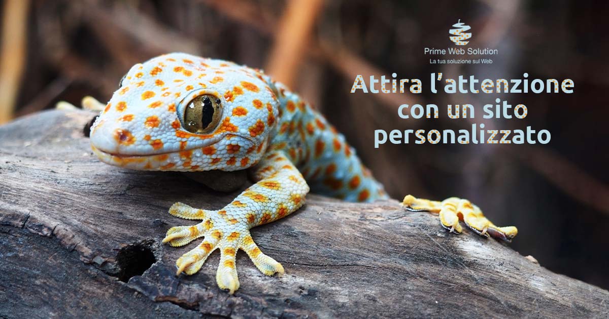 Realizzazione siti web Desenzano | Attira l'attenzione con un sito web personalizzato per la tua azienda | Siti web su misura