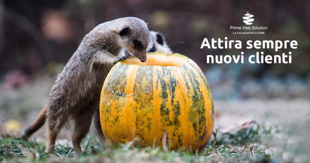 Ecommerce Desenzano | Attira sempre nuovi clienti | Espandi il tuo e-commerce con strategie mirate per attrarre nuovi clienti