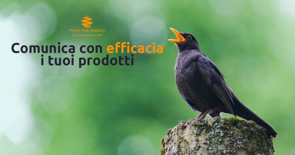 Realizzazione Ecommerce Desenzano | Vendere prodotti online | Comunica il valore dei tuoi prodotti con un negozio online