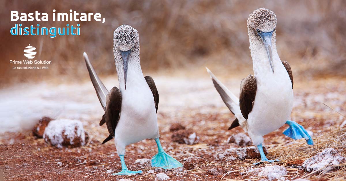 Sito web personalizzato Desenzano | Basta imitare, distinguiti con un sito web completamente personalizzato per la tua azienda