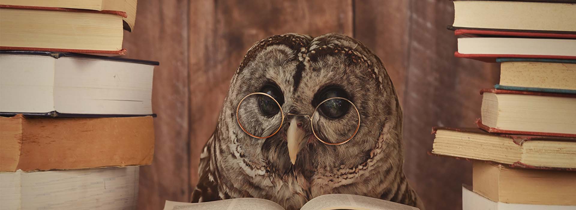 Promuovi il tuo brand con l’Article Marketing