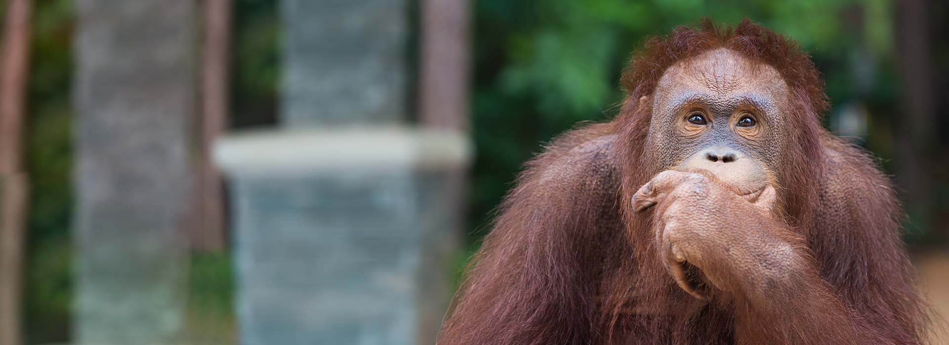 Studiamo la tua strategia marketing