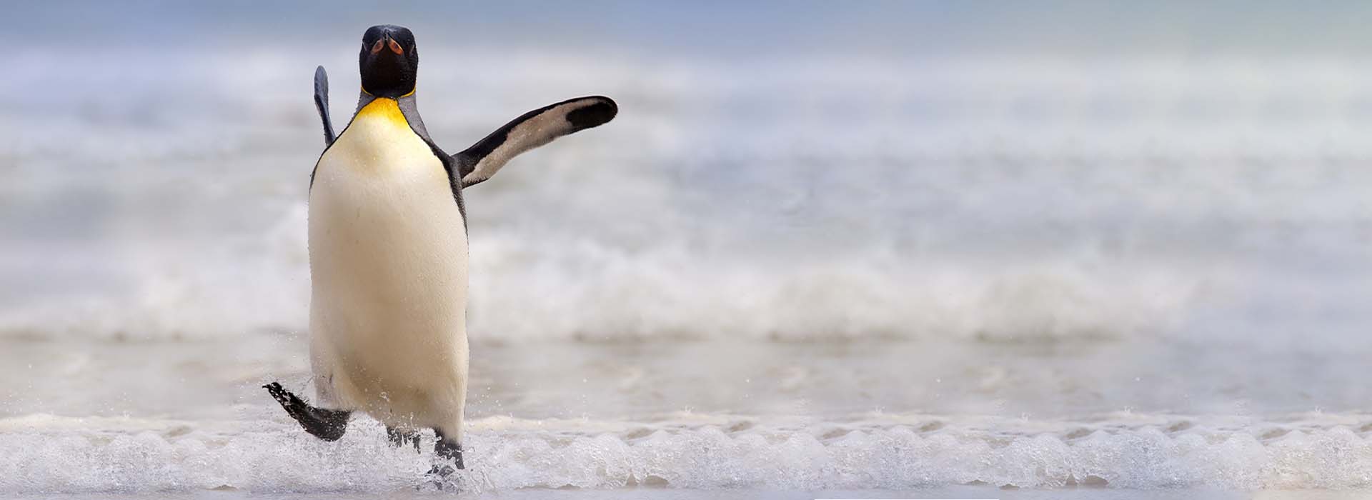 Entra nel mondo del web con la tua azienda