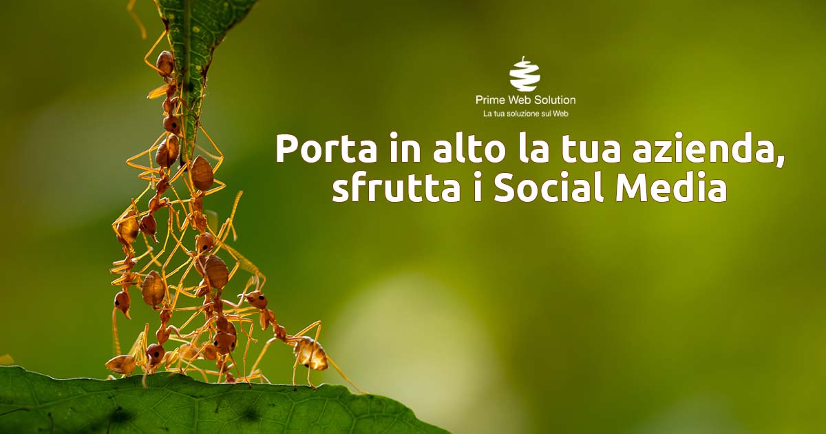 Sponsorizzazioni Social Media | Porta in alto la tua azienda, sfrutta i Social Media sponsorizzando i tuoi servizi