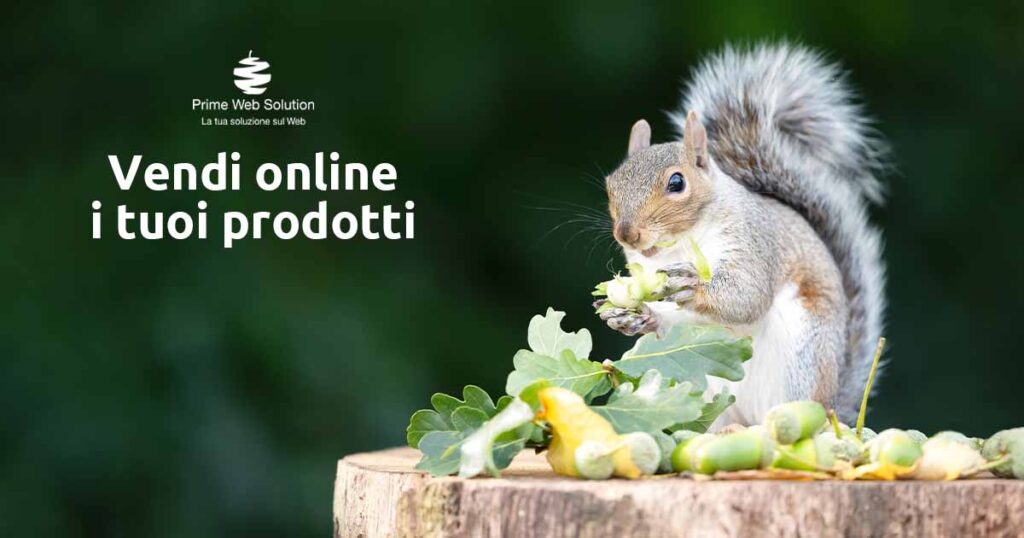 Vendere online prodotti | Vendi online i tuoi prodotti | Crea una vetrina digitale studiata per valorizzare i tuoi prodotti