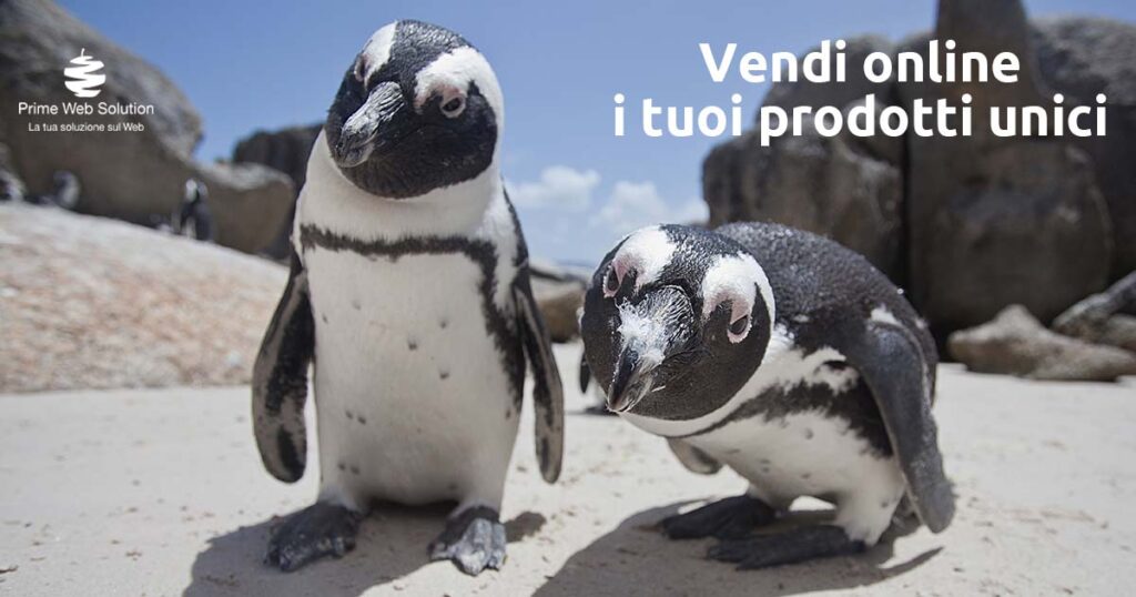 Aprire negozio online | Vendi online i tuoi prodotti unici | Trasforma il tuo business con una piattaforme e-commerce ottimizzata